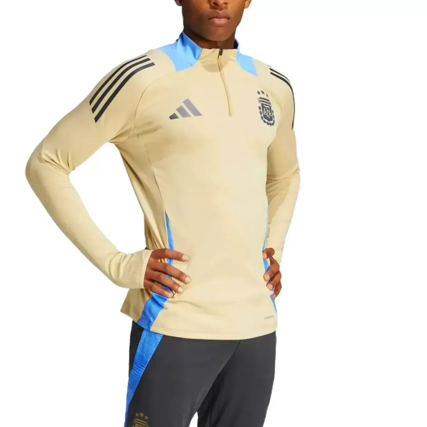 Argentina training technical soccer tracksuit 2024/25 - Adidas