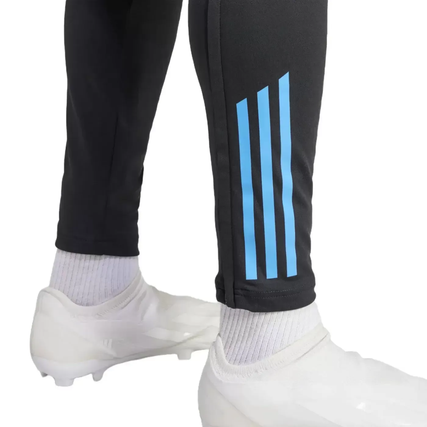 Argentina training technical soccer tracksuit 2024/25 - Adidas