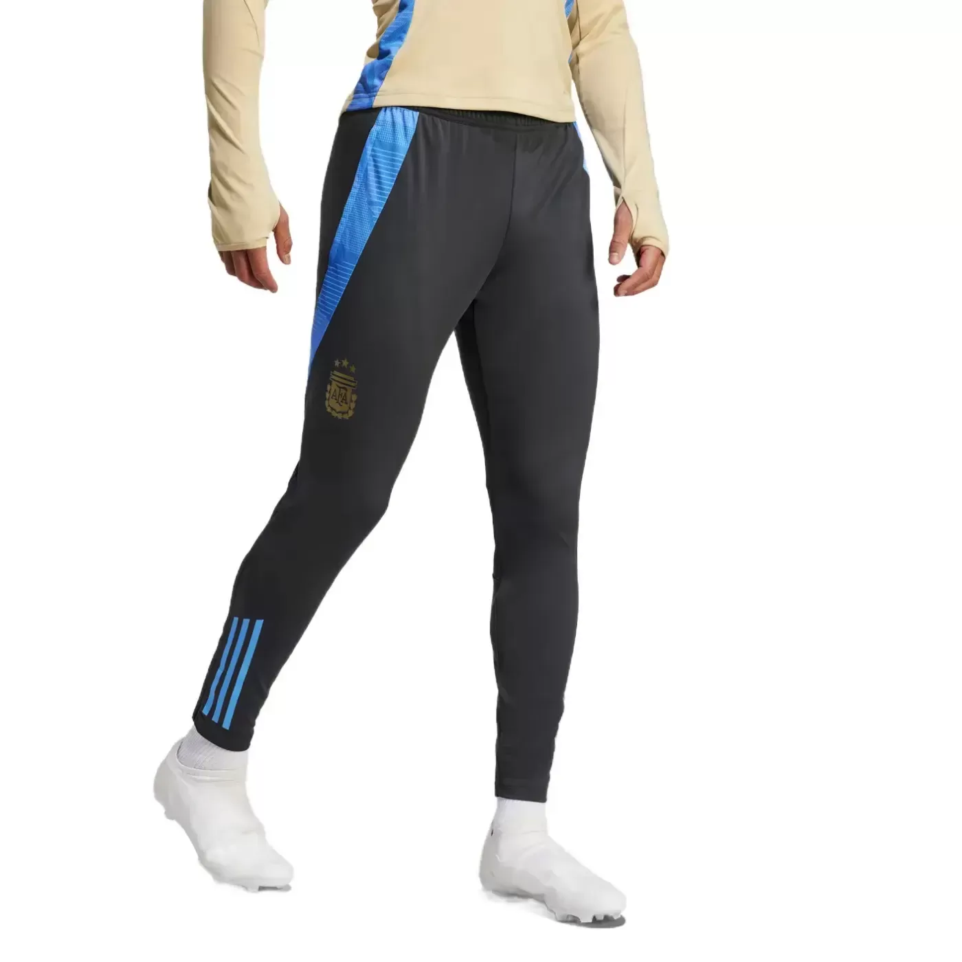 Argentina training technical soccer tracksuit 2024/25 - Adidas