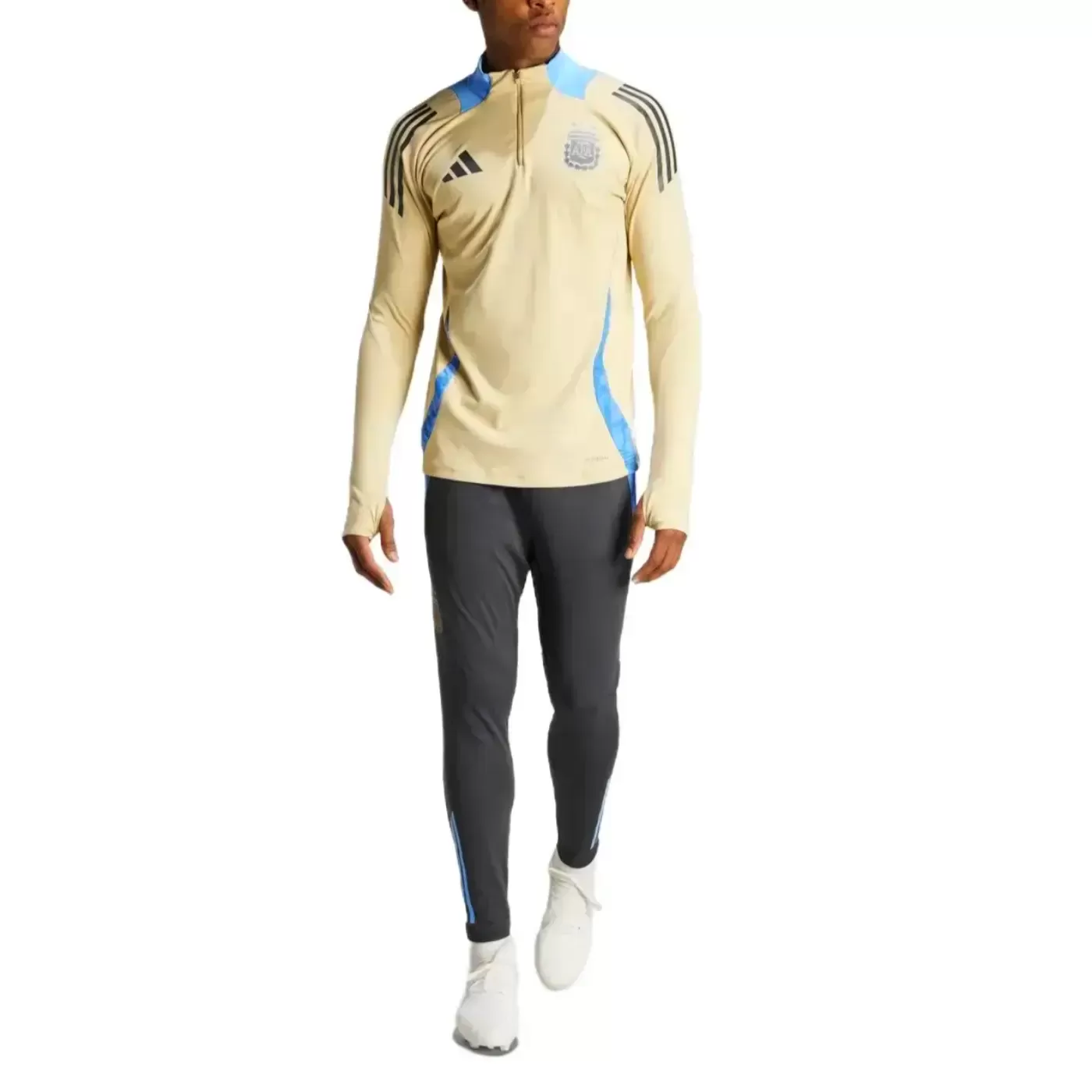 Argentina training technical soccer tracksuit 2024/25 - Adidas