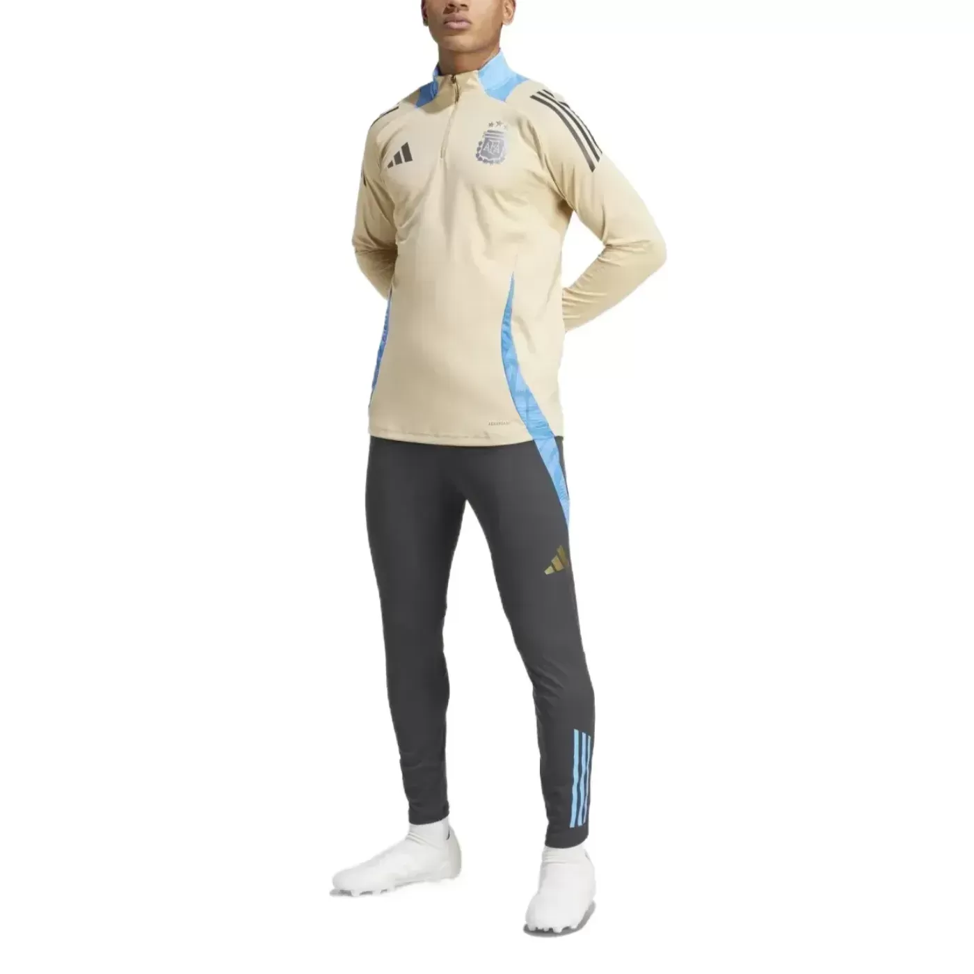 Argentina training technical soccer tracksuit 2024/25 - Adidas