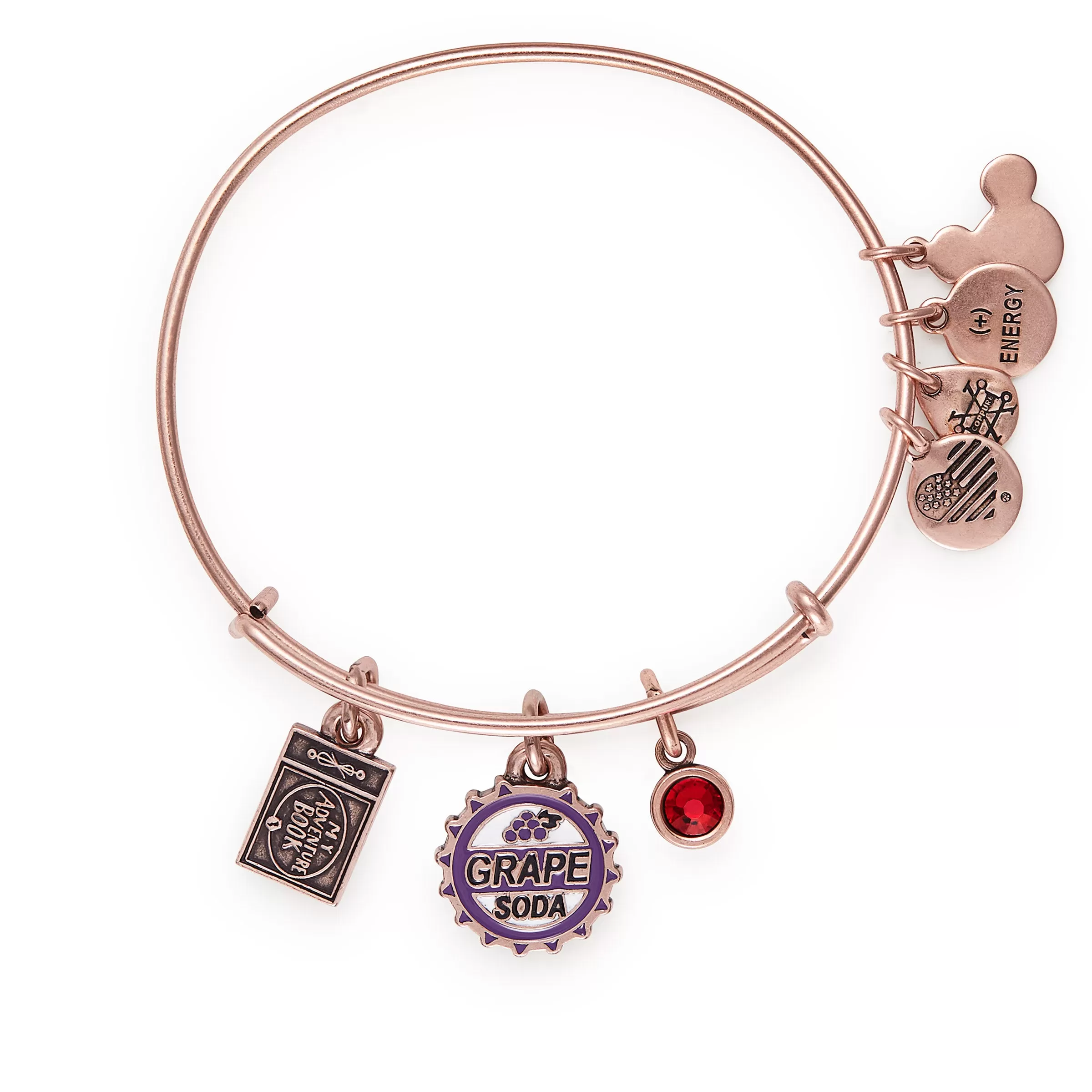 Disney Up Trio Charm Bangle