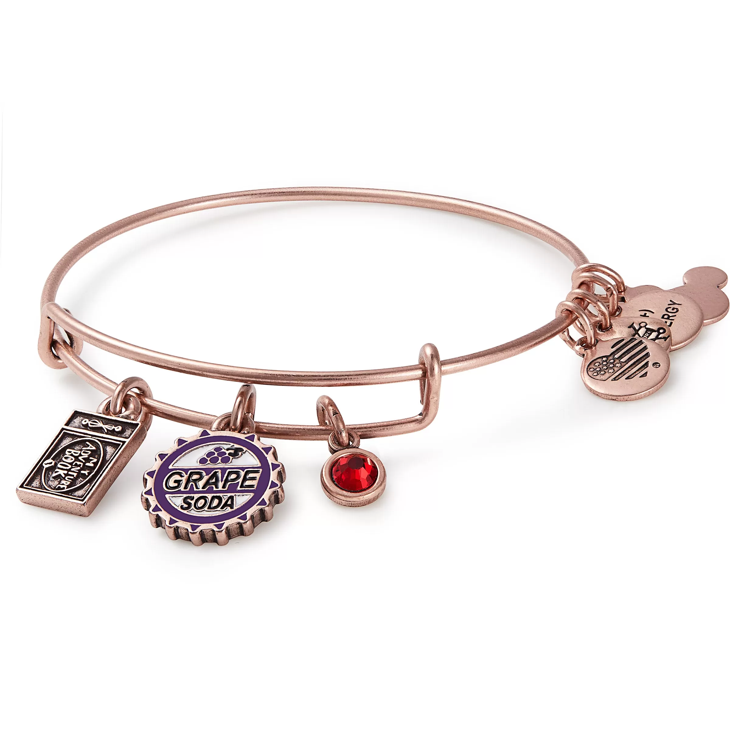 Disney Up Trio Charm Bangle