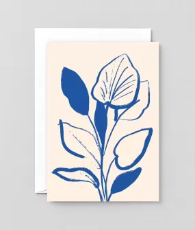  Lily Study  Card