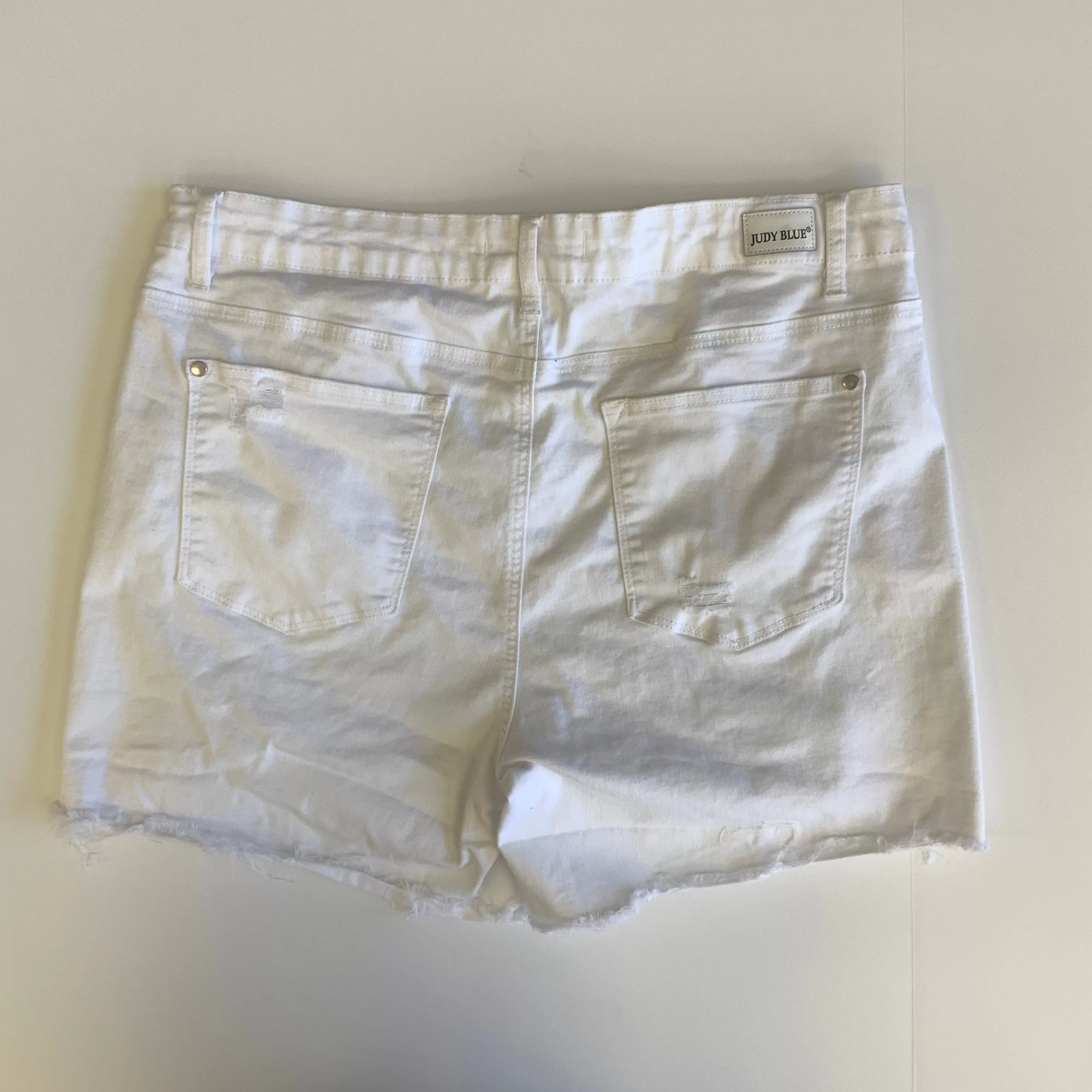 Shorts By Judy Blue  Size: 2x